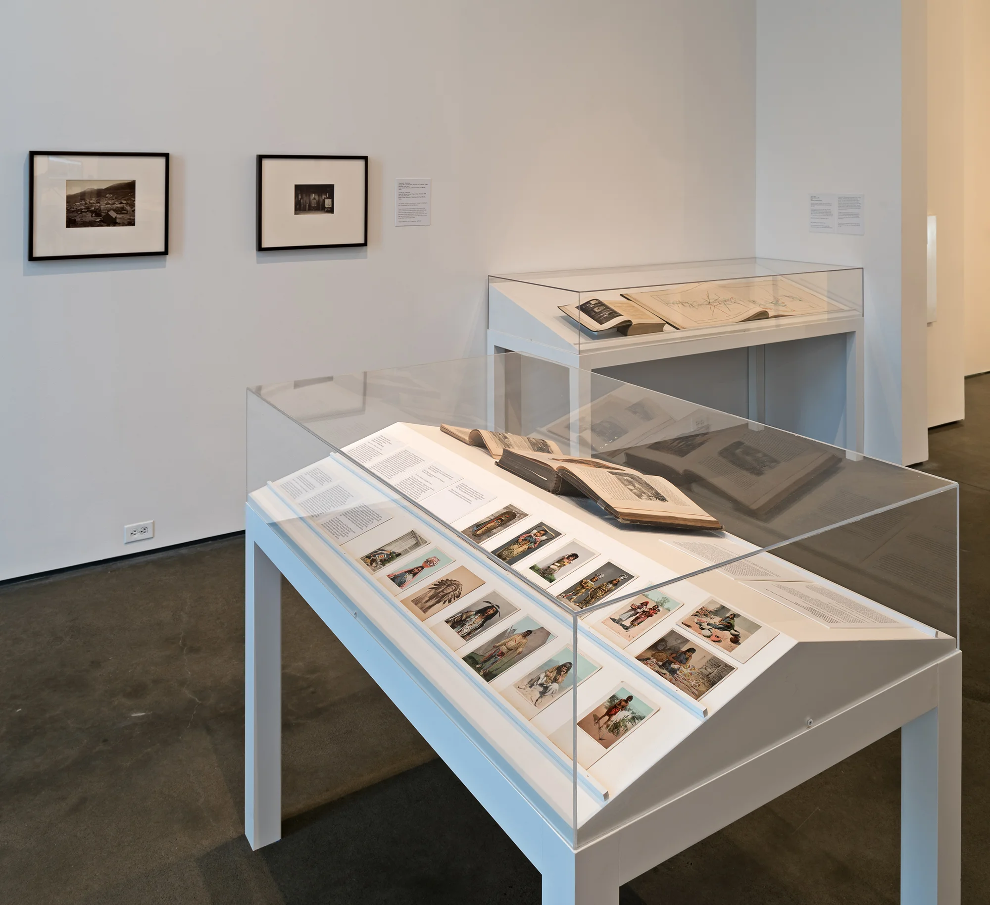 Picture Industry , Hessel Museum, Center for Curatorial Studies, Bard College, Annandale-on-Hudson, NY, 2017. William Emory, William Henry Jackson, and James Hague et al.