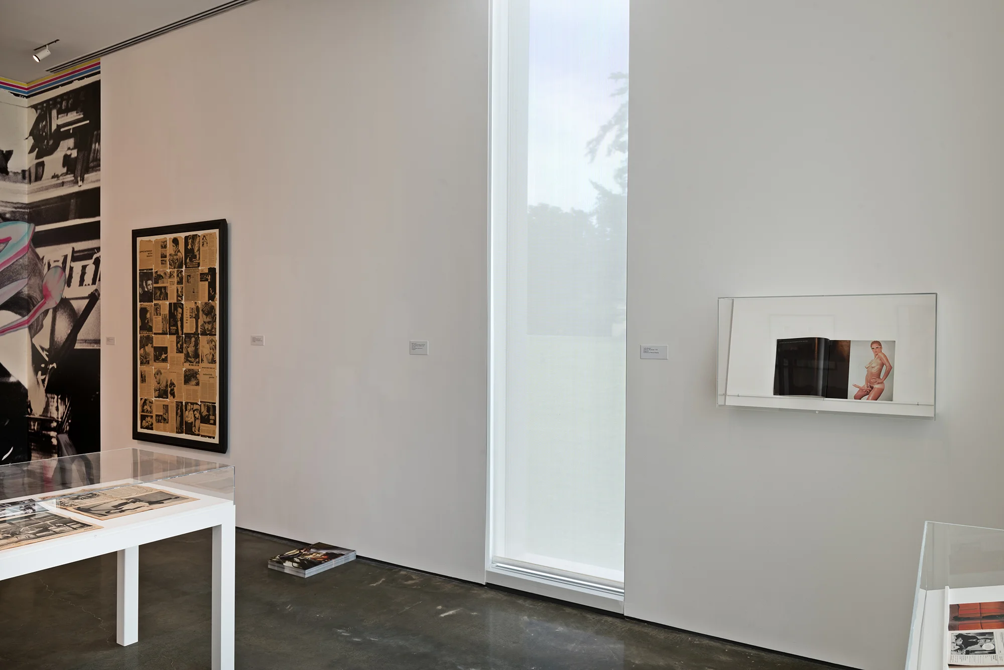 Picture Industry , Hessel Museum, Center for Curatorial Studies, Bard College, Annandale-on-Hudson, NY, 2017. Kelley Walker, Jack Pierson, Martha Rosler, Lynda Benglis, and Cosey Fanni Tutti