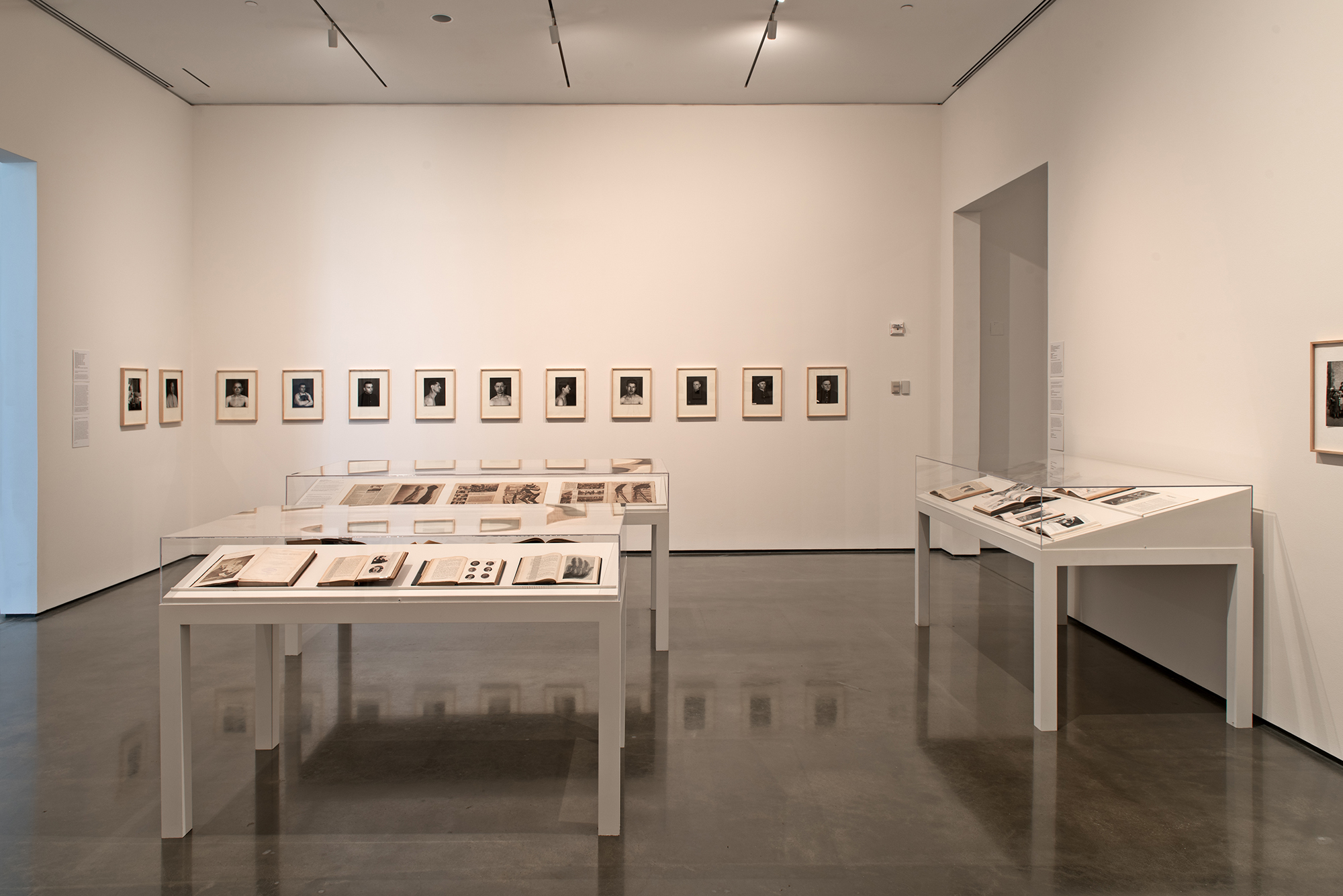   Picture Industry , Hessel Museum, Center for Curatorial Studies, Bard College, Annandale-on-Hudson, NY, 2017.     Duchenne de Boulogne, David Walsh, Alphonse Bertillon, Francis Galton, Charles Darwin, &nbsp;John Heartfield, August Sander, Fritz Kah