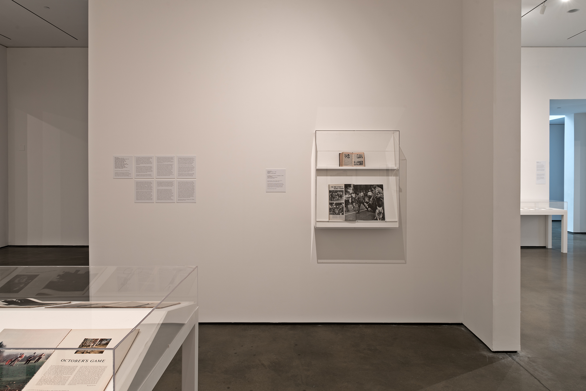  Picture Industry , Hessel Museum, Center for Curatorial Studies, Bard College, Annandale-on-Hudson, NY, 2017.     Walker Evans, JET Magazine, and Charles Moore    