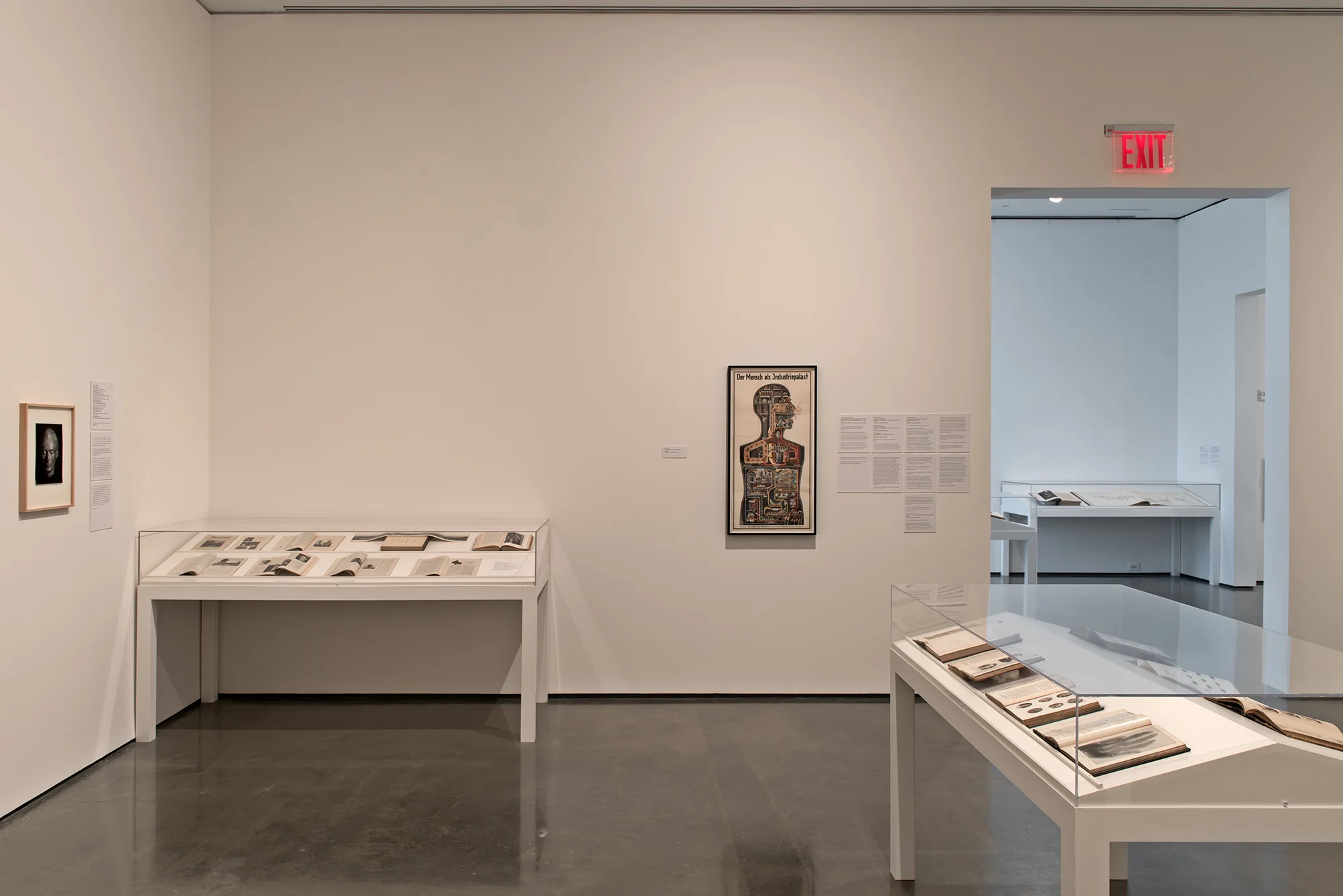 Picture Industry , Hessel Museum, Center for Curatorial Studies, Bard College, Annandale-on-Hudson, NY, 2017. August Sander, Lewis Hine, Fritz Kahn, Duchenne de Boulogne, David Walsh, Alphonse Bertillon, Francis Galton, and Charles Darwin