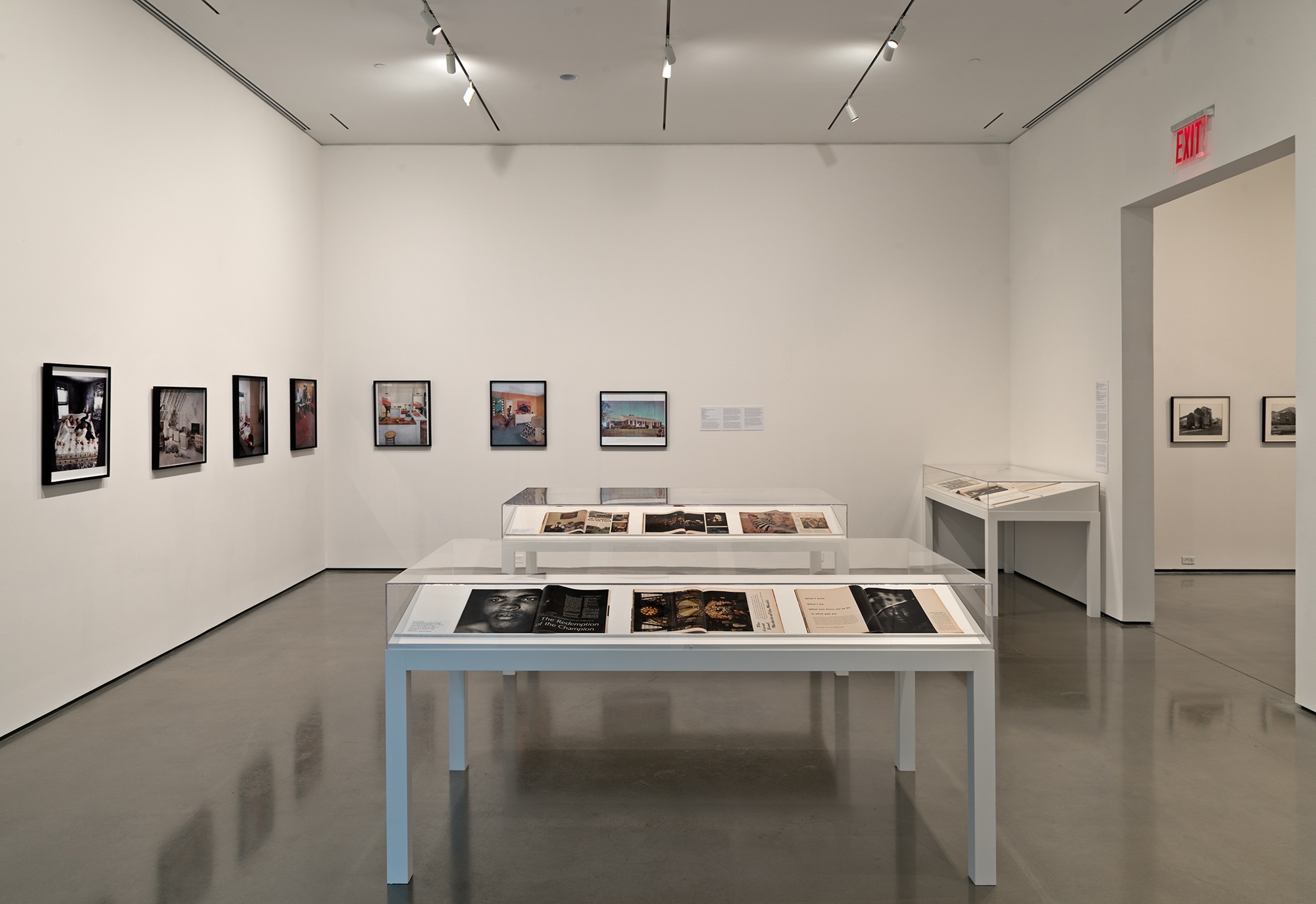   Picture Industry , Hessel Museum, Center for Curatorial Studies, Bard College, Annandale-on-Hudson, NY, 2017.     Martha Rosler, Gordon Parks, and Dan Graham    