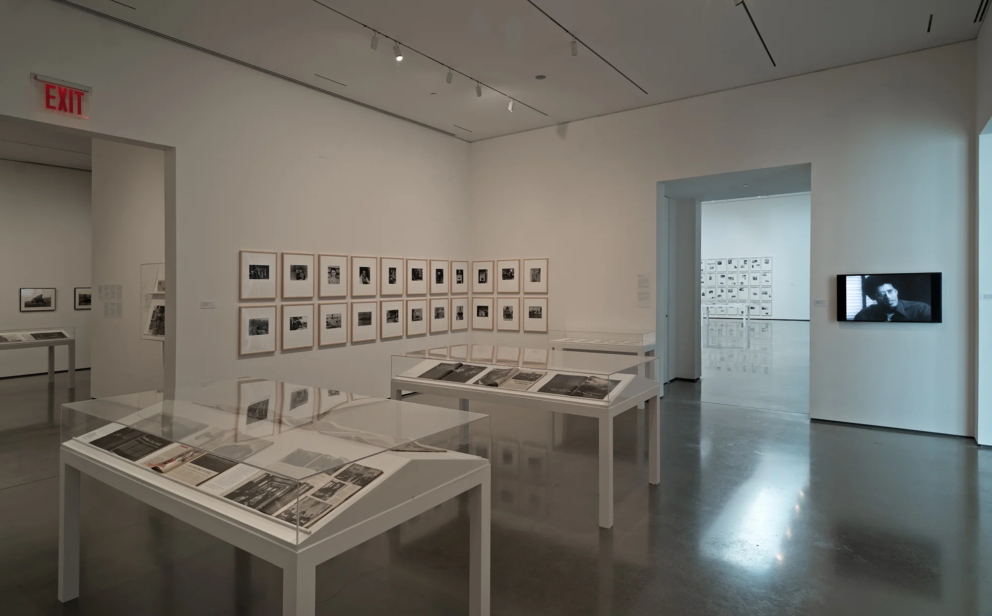 Picture Industry , Hessel Museum, Center for Curatorial Studies, Bard College, Annandale-on-Hudson, NY, 2017. Gordon Parks, Sherrie Levine, and Stewart Bird, Rene Lichtman, and Peter Gessner