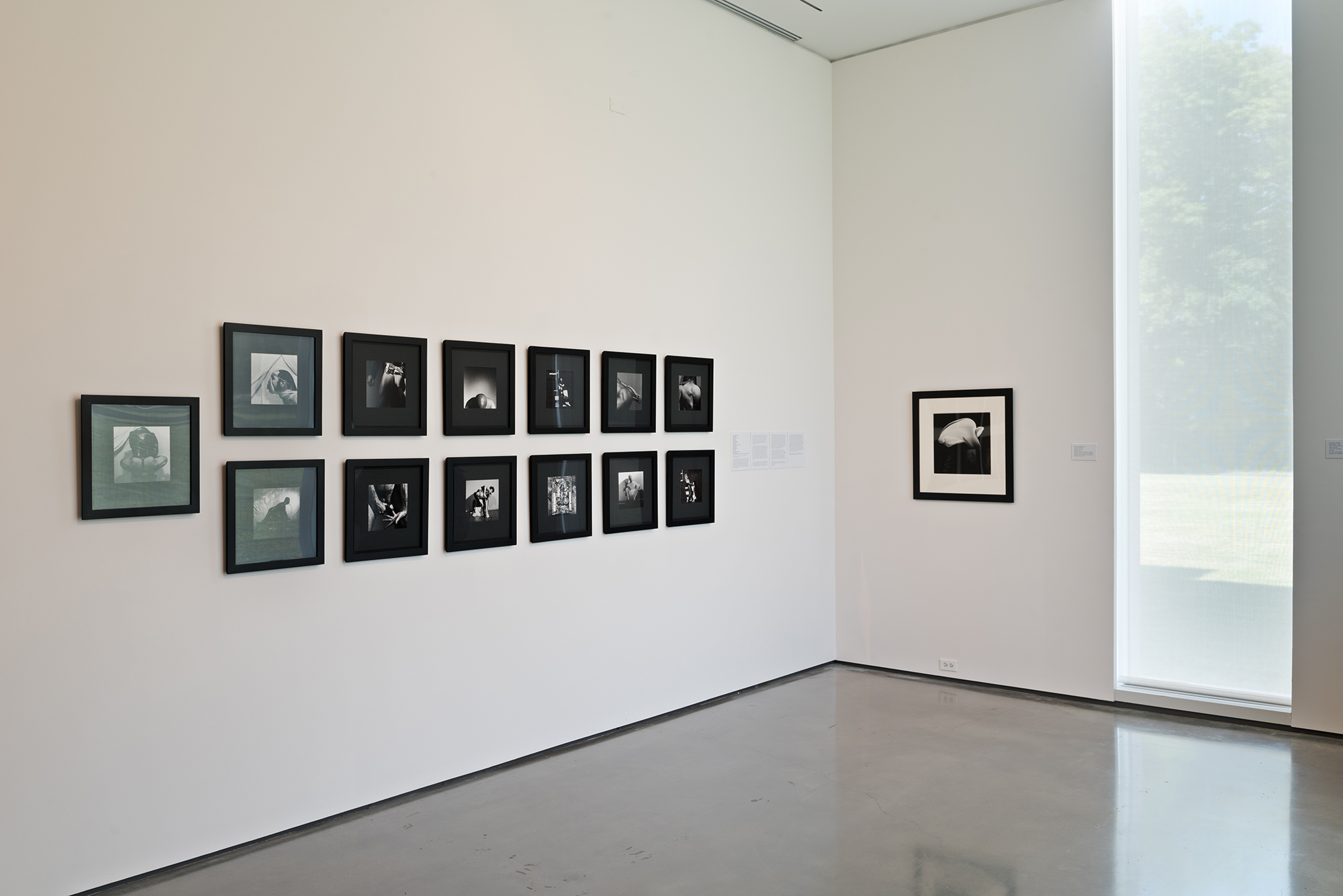   Picture Industry , Hessel Museum, Center for Curatorial Studies, Bard College, Annandale-on-Hudson, NY, 2017.     Robert Mapplethorpe    