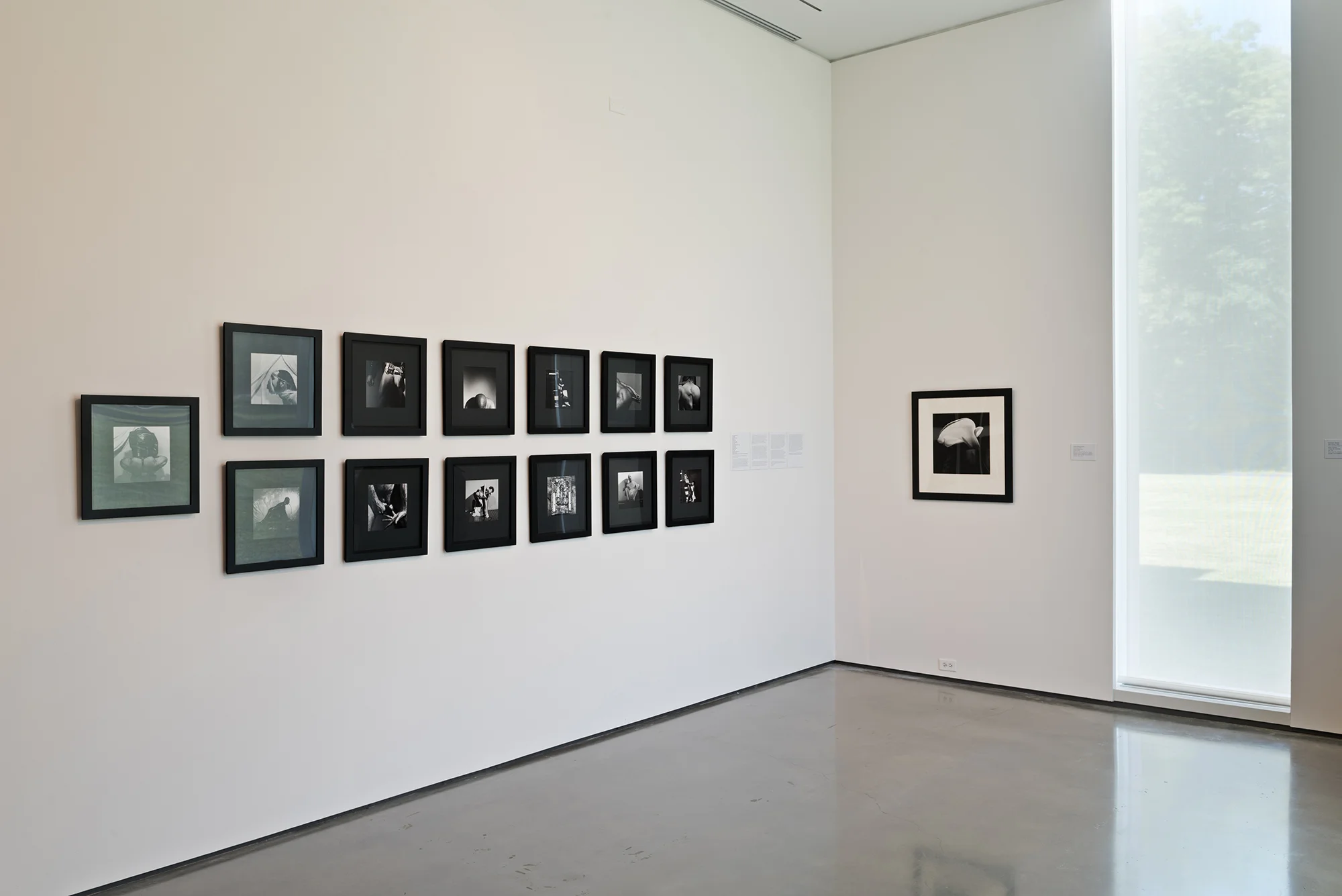 Picture Industry , Hessel Museum, Center for Curatorial Studies, Bard College, Annandale-on-Hudson, NY, 2017. Robert Mapplethorpe