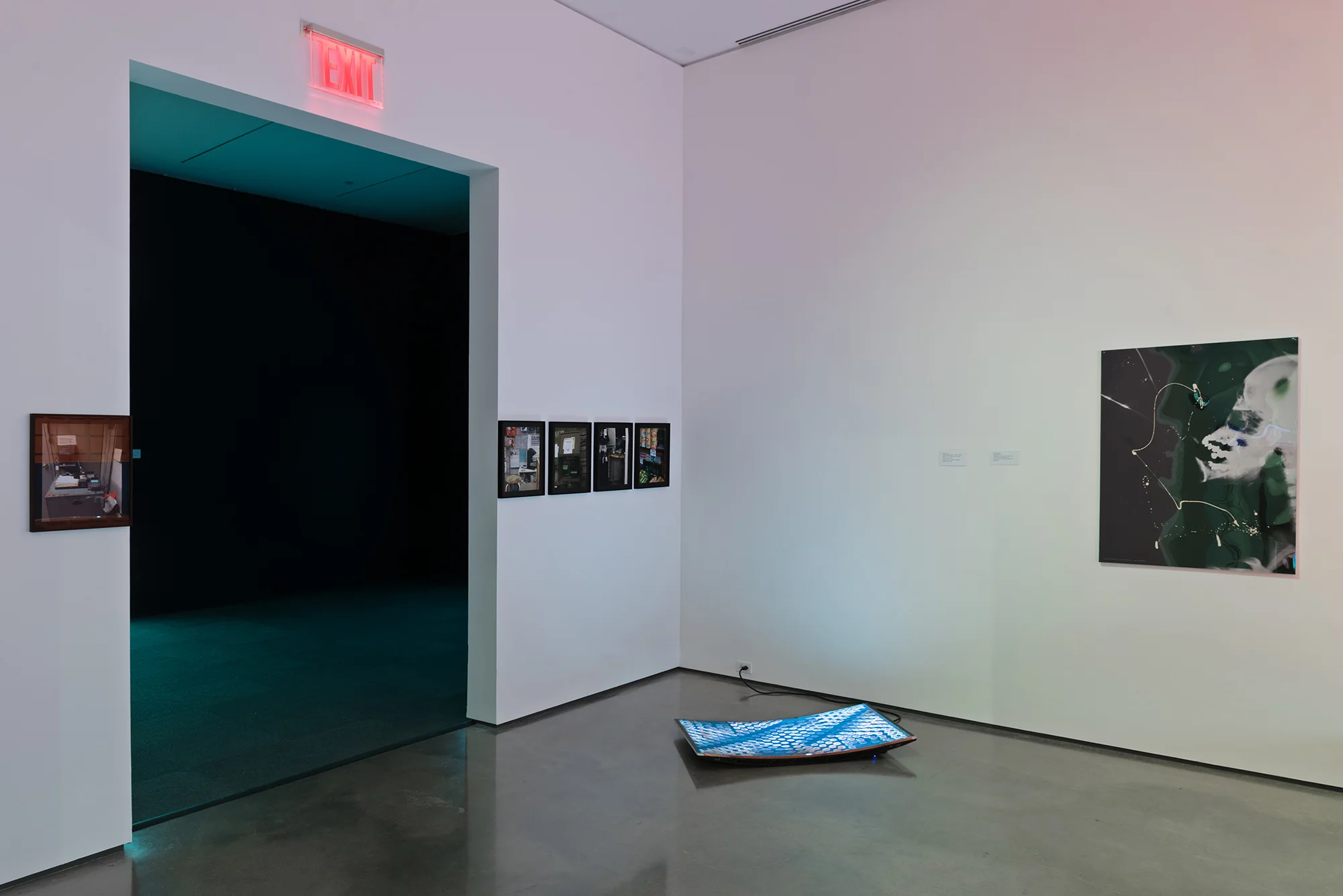 Picture Industry , Hessel Museum, Center for Curatorial Studies, Bard College, Annandale-on-Hudson, NY, 2017. Cameron Rowland, Seth Price, and Isa Genzken