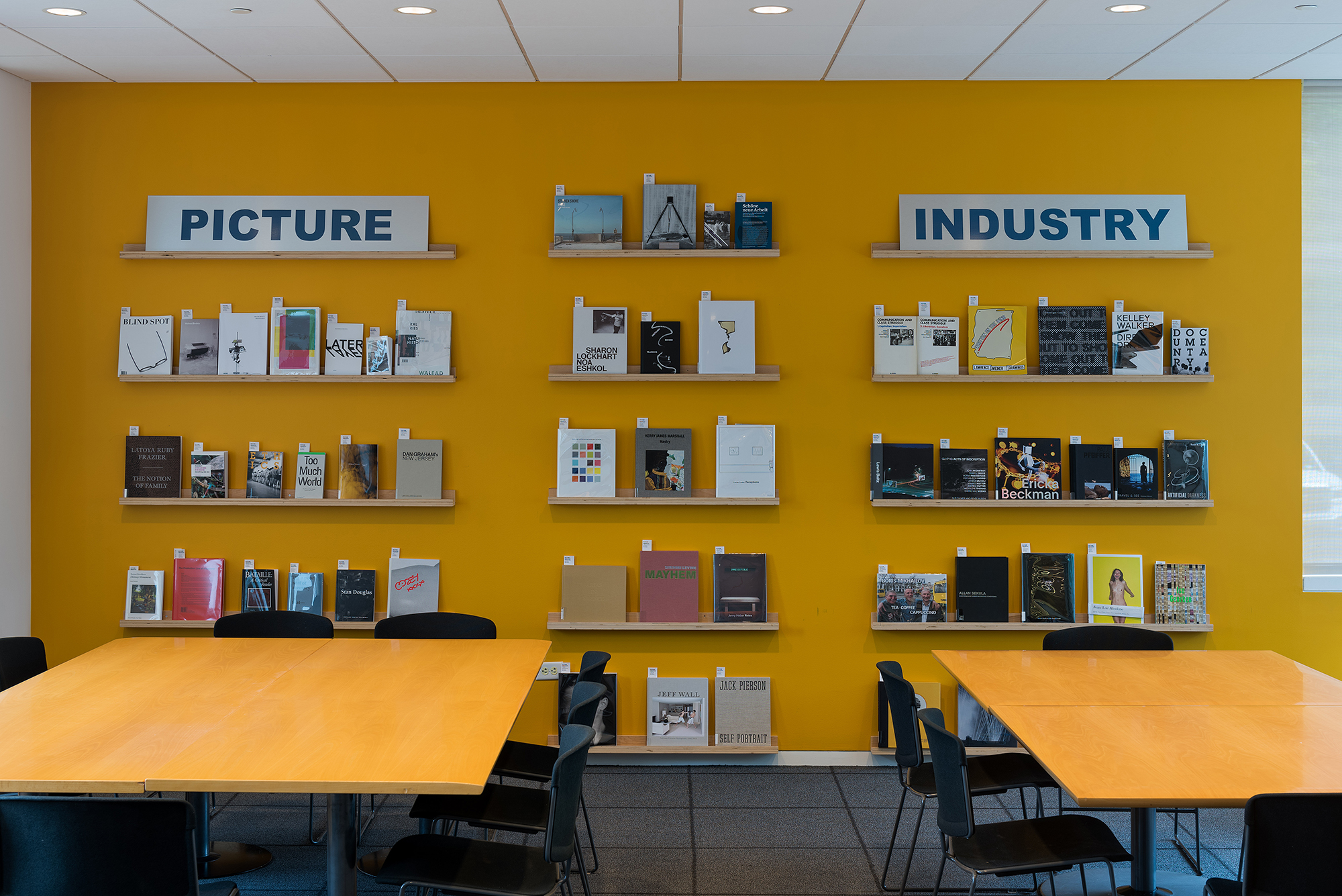   Picture Industry , Hessel Museum, Center for Curatorial Studies, Bard College, Annandale-on-Hudson, NY, 2017.     CCS Library Wall Display&nbsp;    