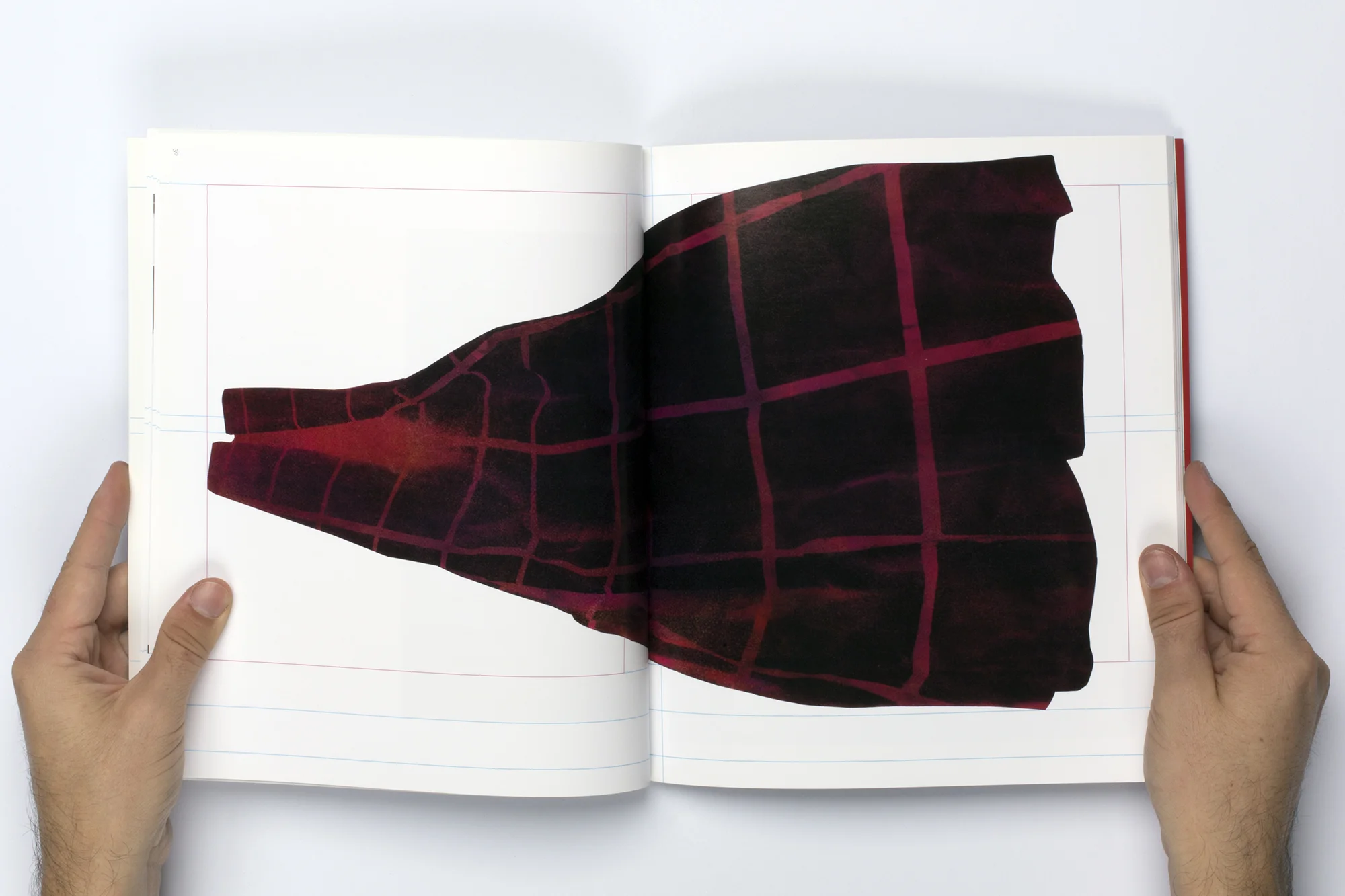 Blind Spot Magazine, No. 46, guest editor, 2013.