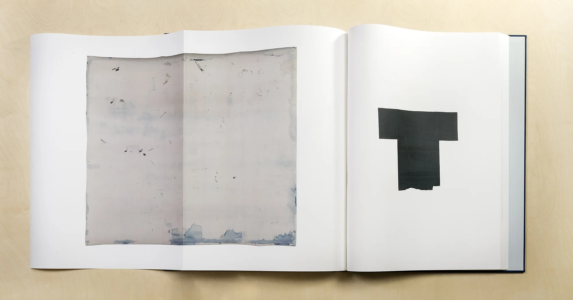 A Partial Disassembling of an Invention Without a Future: Helter-Skelter and Random Notes in Which the Pulleys and Cogwheels Are Lying Around at Random All Over the Workbench (7 October 2013–6 October 2014) 2014 Bound letterpress and digital offset print volumes 27 11/16 x 19 5/8 inches, each