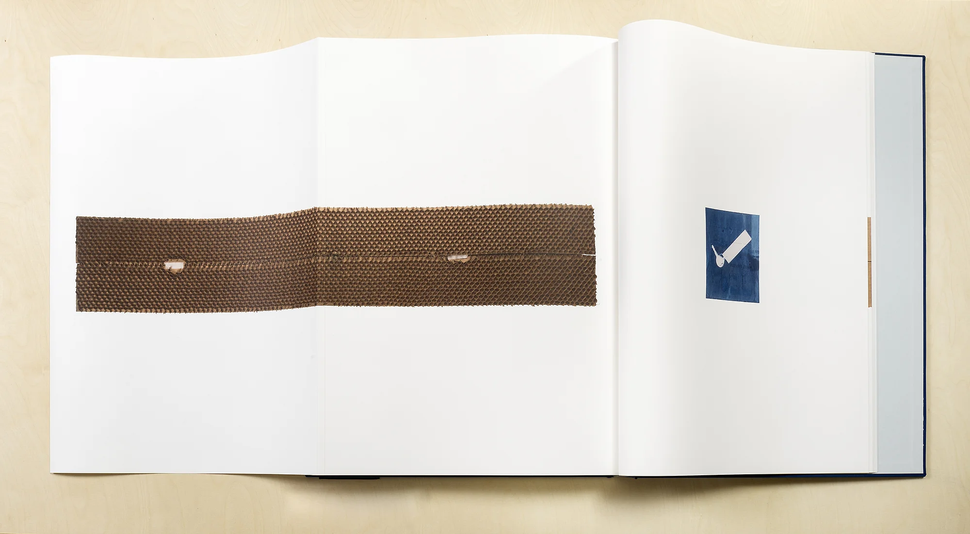 A Partial Disassembling of an Invention Without a Future: Helter-Skelter and Random Notes in Which the Pulleys and Cogwheels Are Lying Around at Random All Over the Workbench (7 October 2013–6 October 2014) 2014 Bound letterpress and digital offset print volumes 27 11/16 x 19 5/8 inches, each