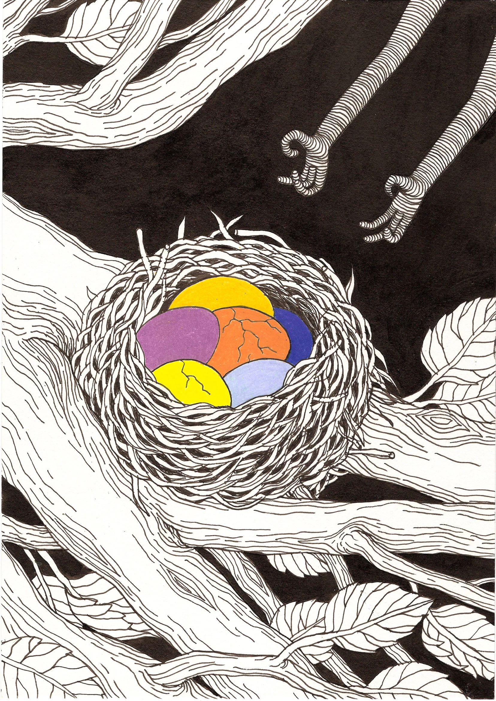 eggs.jpg