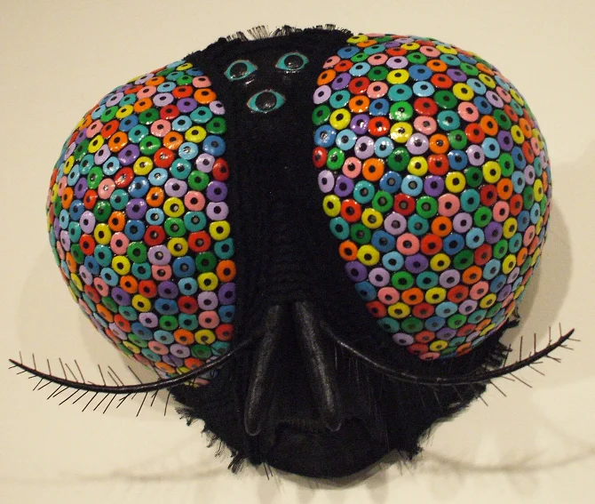 fly-mask-2.jpg