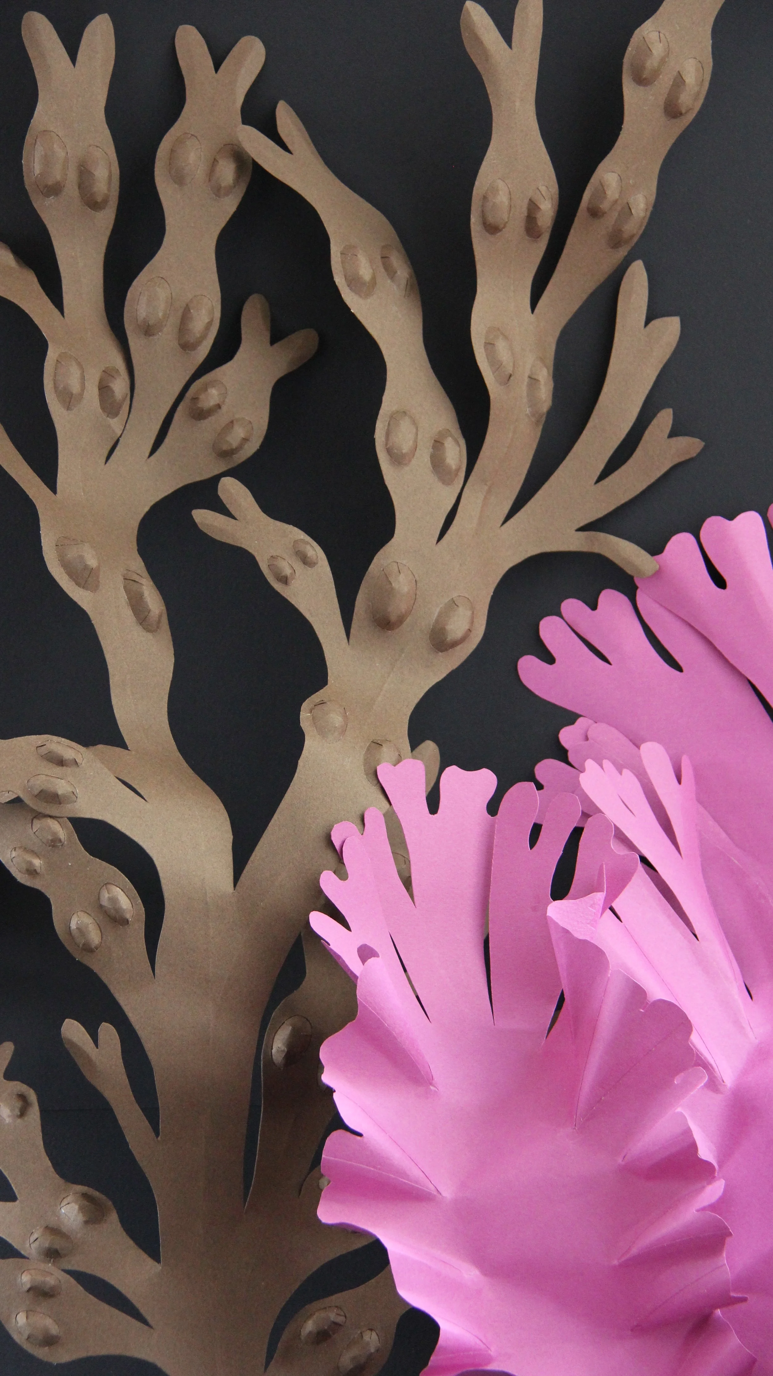 CatJohnston826seaweeds.JPG