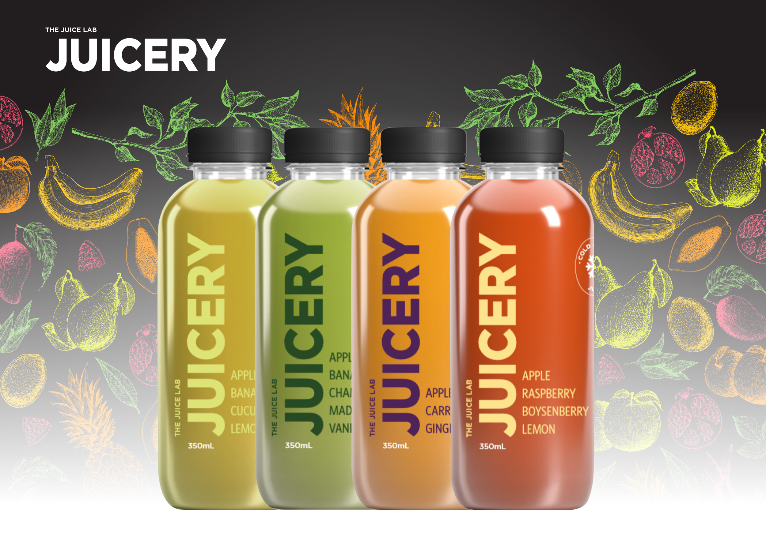 Juicery__asssets_WEB.png