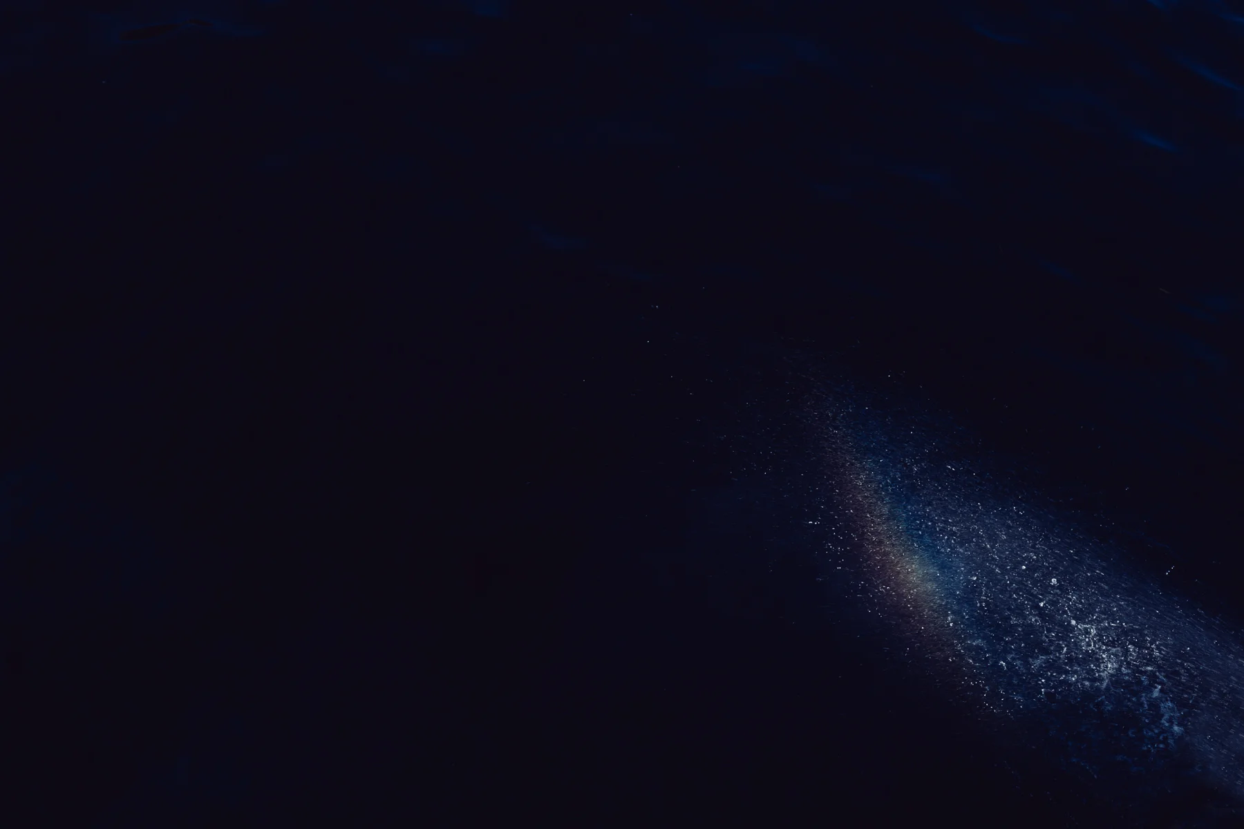 ánthos - bloom-13.jpg