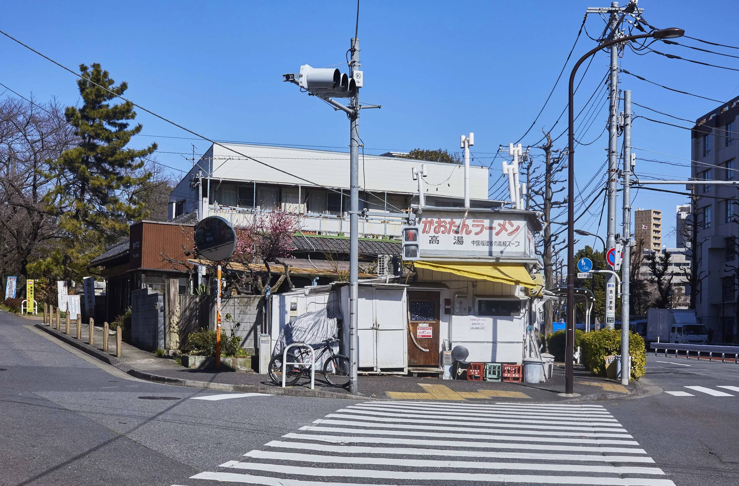 Zebra Crossing - Tokyo