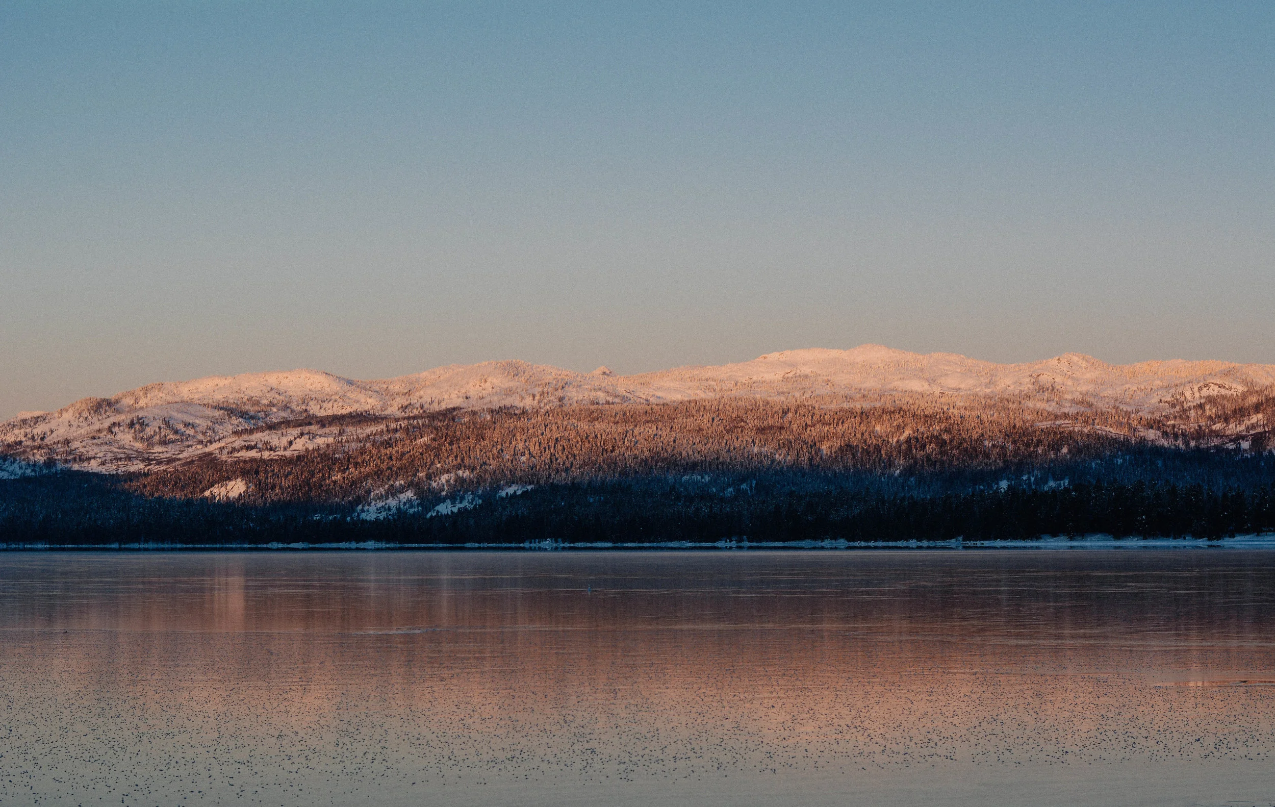 DSC_2070.jpg