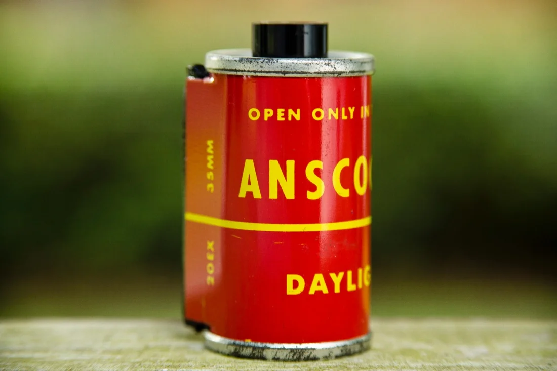 Macro Photography; Old Expired Film 1.jpg
