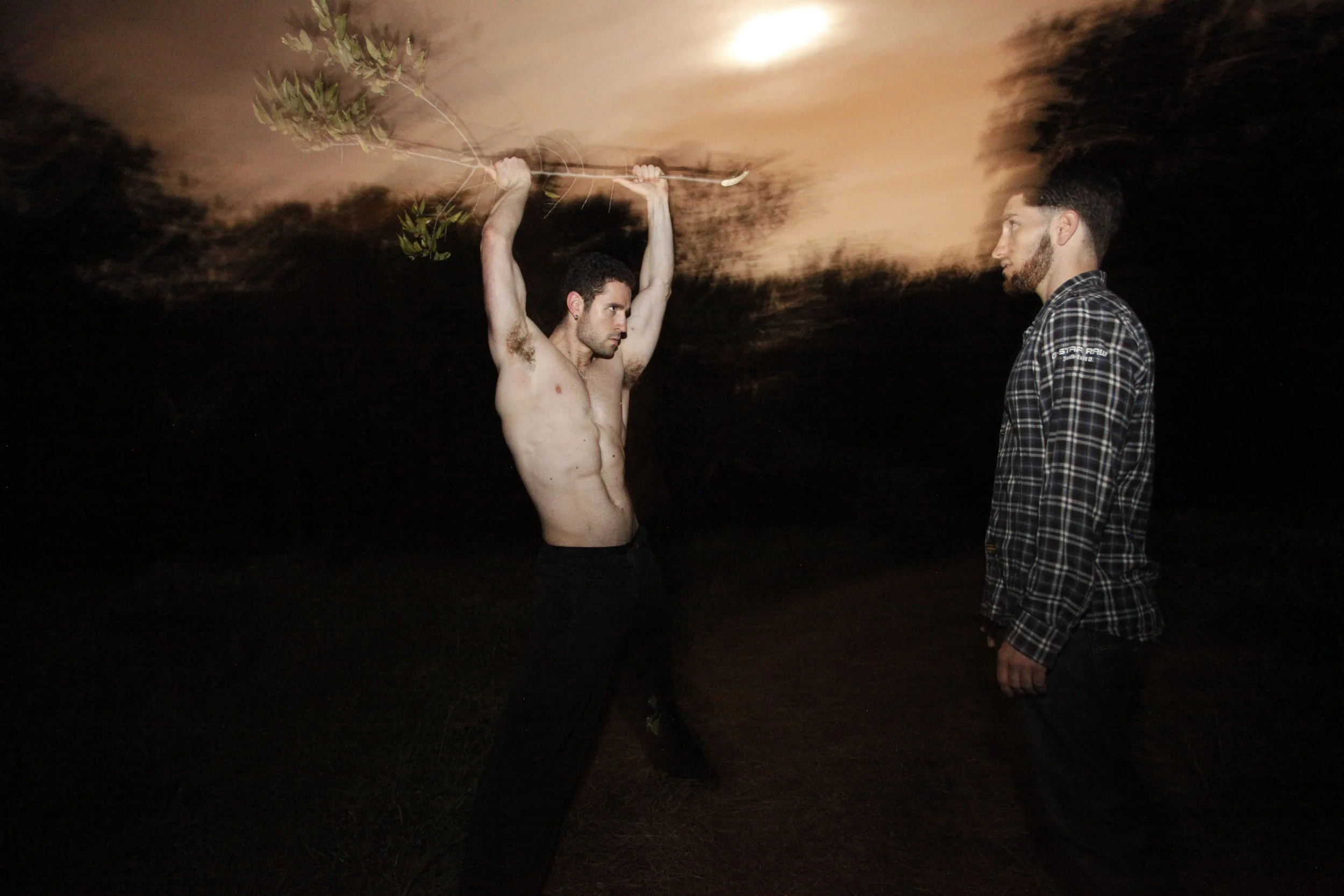 Werewolves; Branch Photo by Vito Fun.JPG