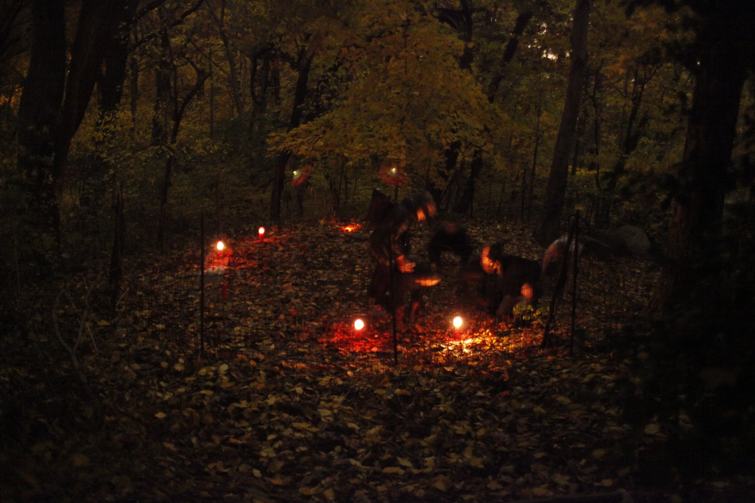 Werewolves; Wolf Pack 2 Photo by Vito Fun.JPG