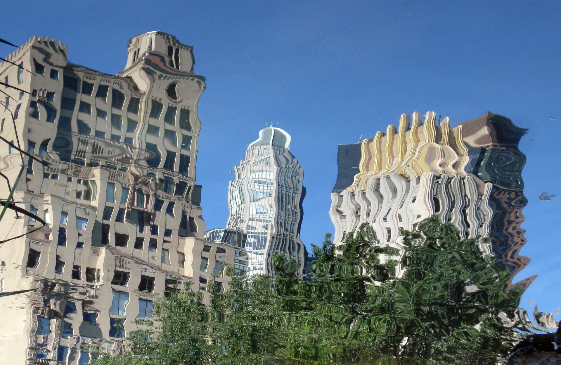 Central Park buildings reflection.JPG