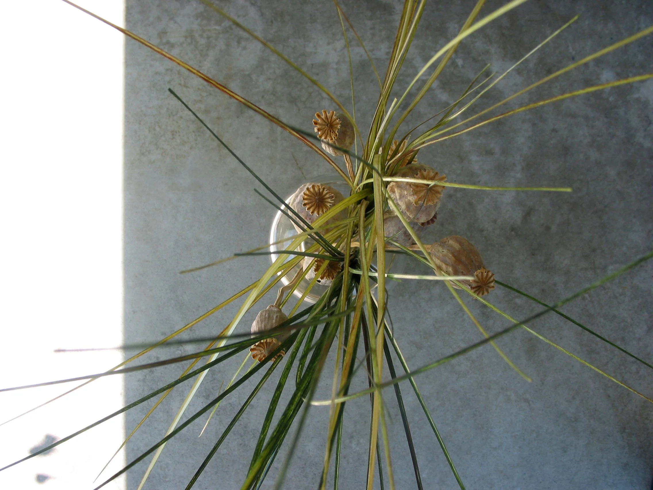 Vase from top for website.jpg