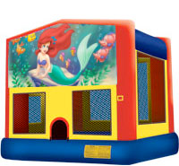 ariel jumper.jpg