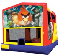 angry birds jumper.jpg