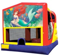 ariel jumper.jpg