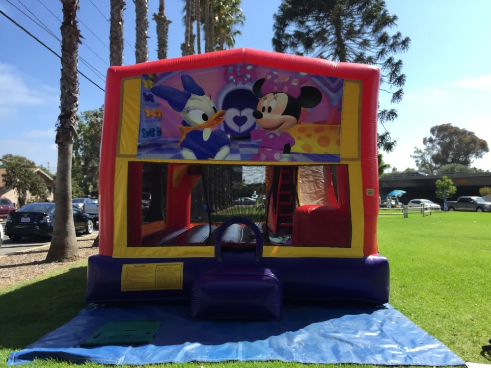 minnie mouse bouncer jumper