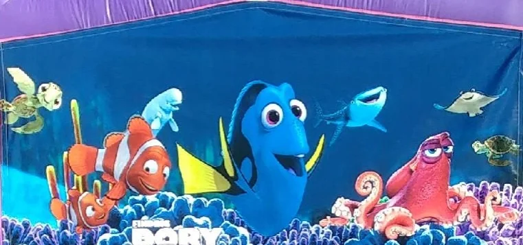 13x13 2in1 Finding Dory Pink Castle.jpg