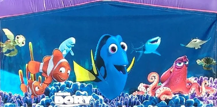 13x13 2in1 Finding Dory Pink Castle.jpg