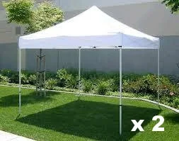10x10 canopy.jpg
