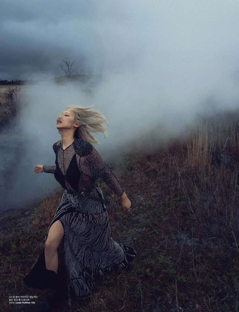 Screen Shot 2017-08-24 at 11.20.49 AM.jpg