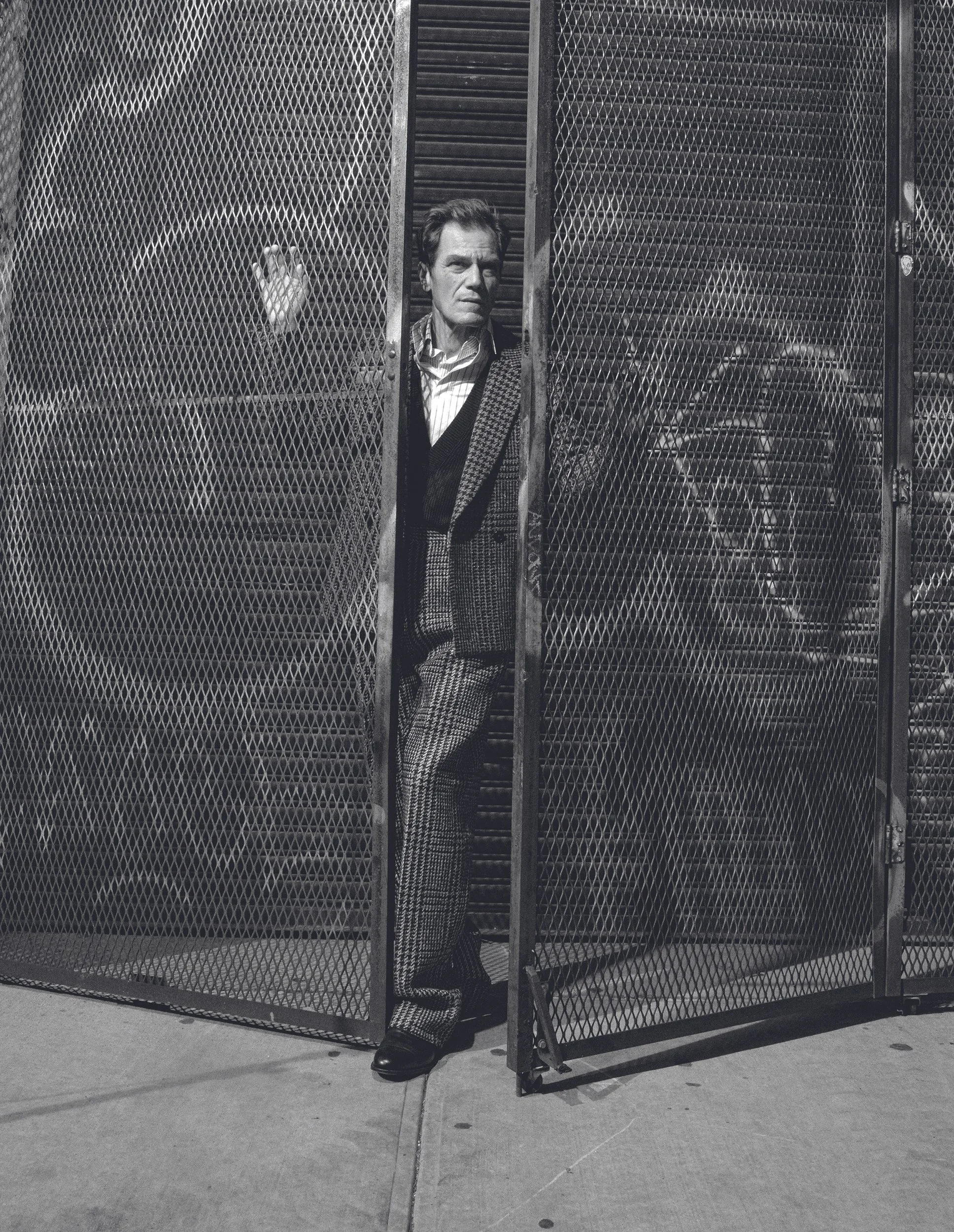 MS-Zoo102166FINAL copy.jpg