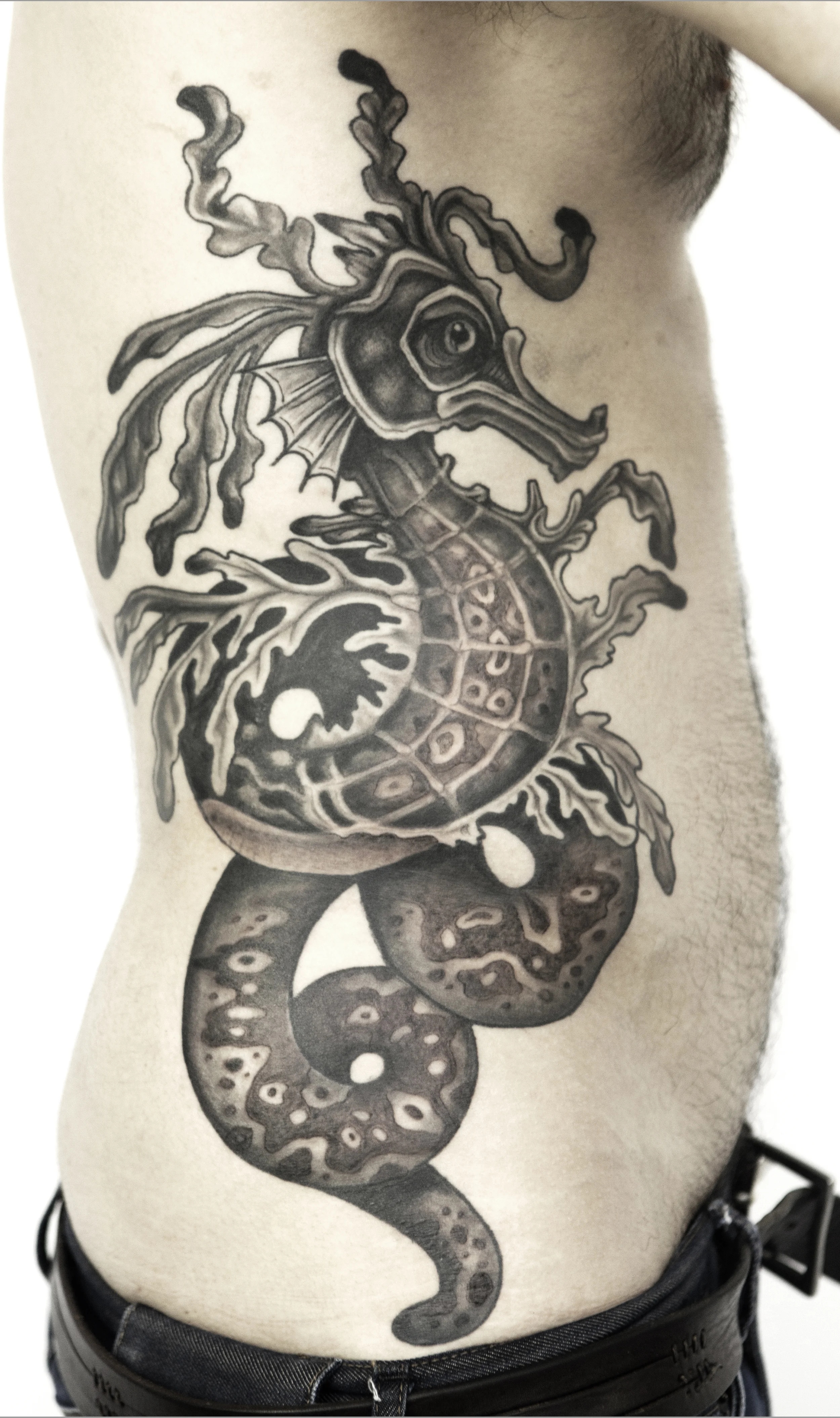 Melody Tattoos / Seahorse Serpent