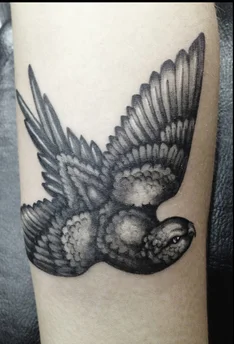 Melody+Bird-1.jpg