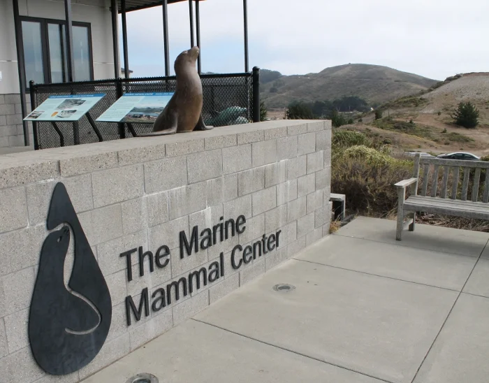 the-marine-mammal-center.jpg