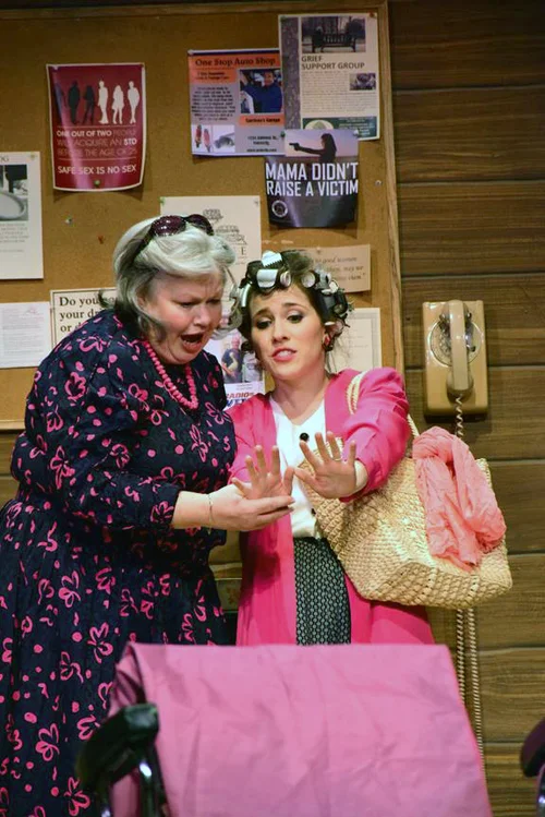 Shelby in Steel Magnolias