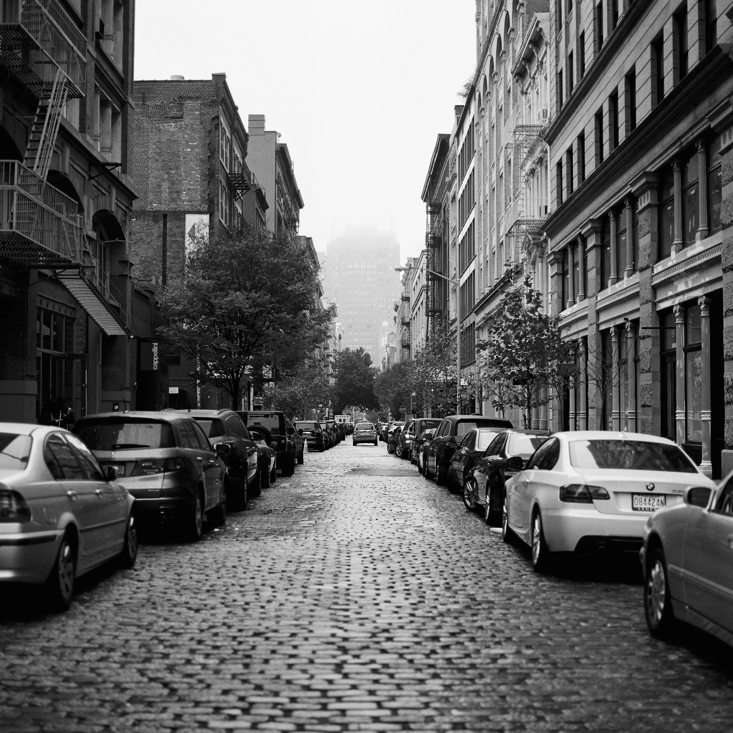 maxpNYC000001-R5-E055.jpg