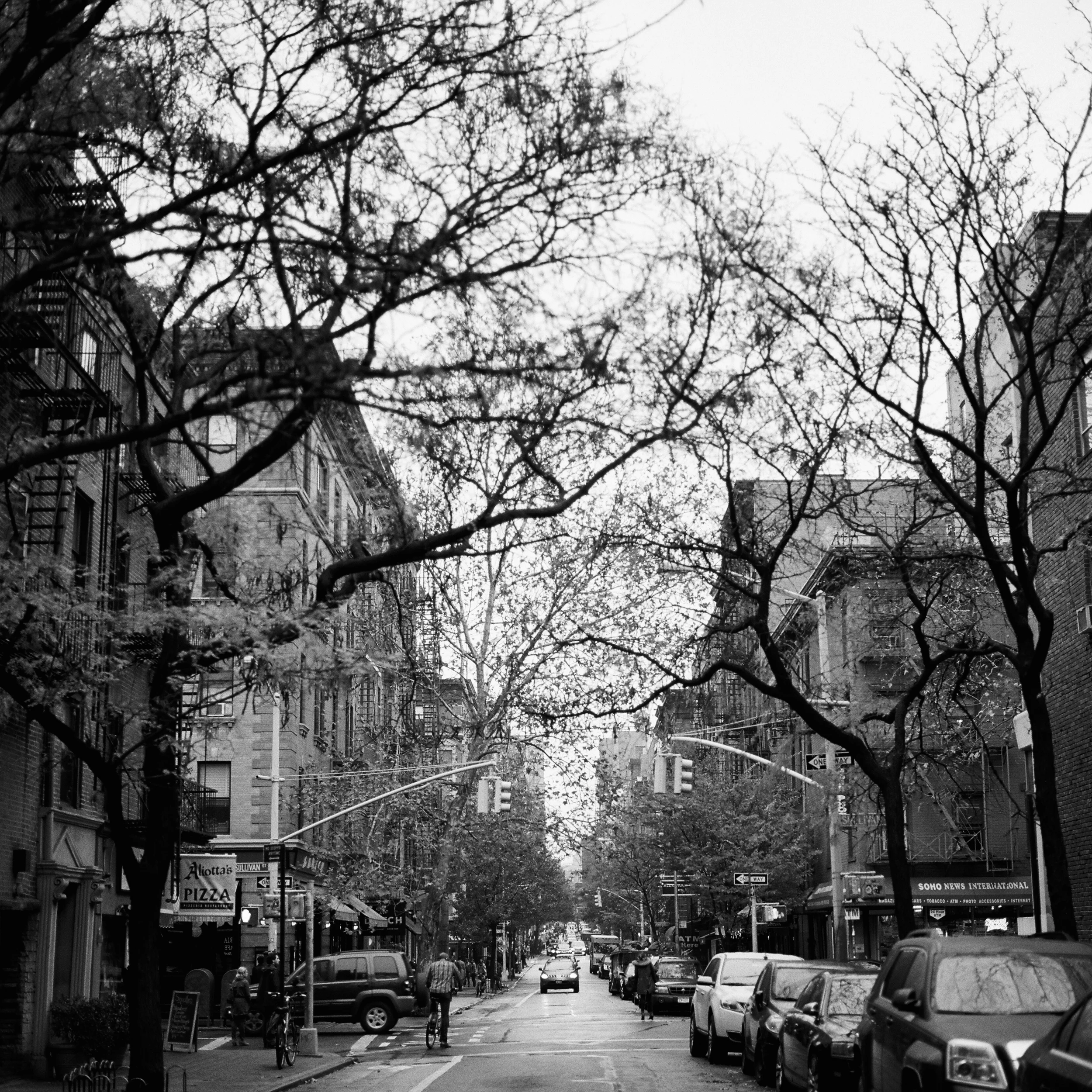 maxpNYC000001-R5-E059.jpg