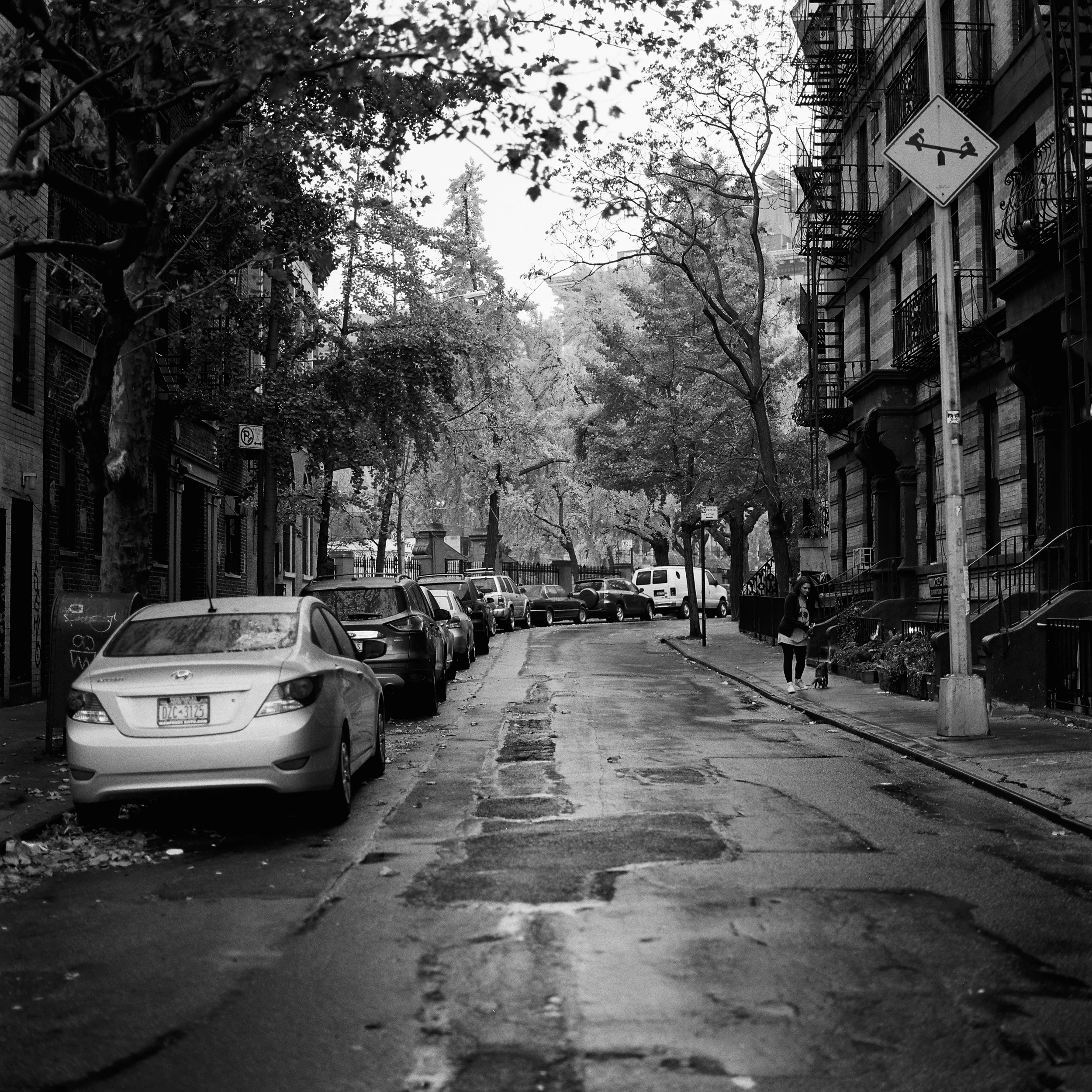 maxpNYC000001-R7-E074.jpg