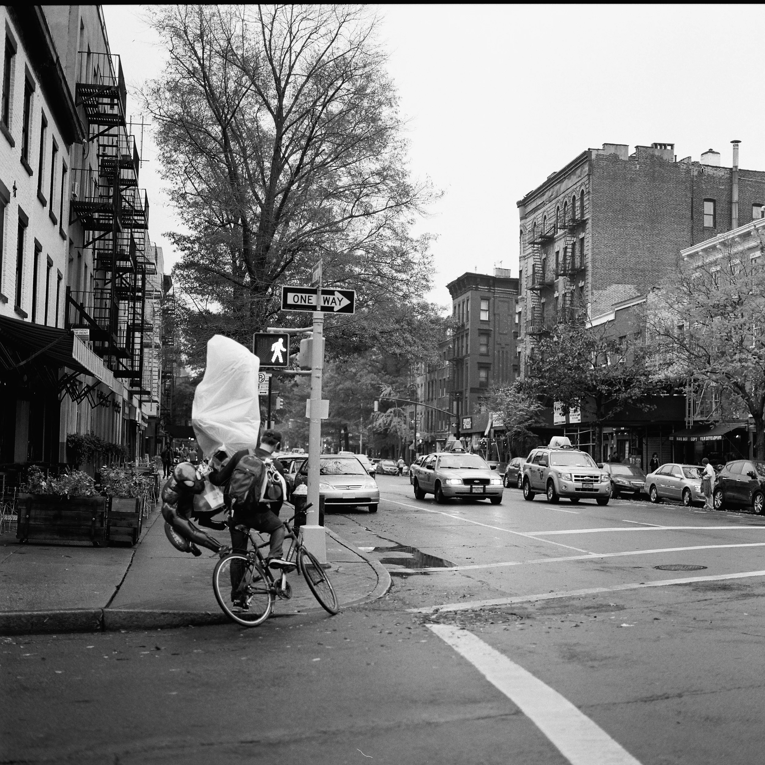 maxpNYC000001-R7-E078.jpg
