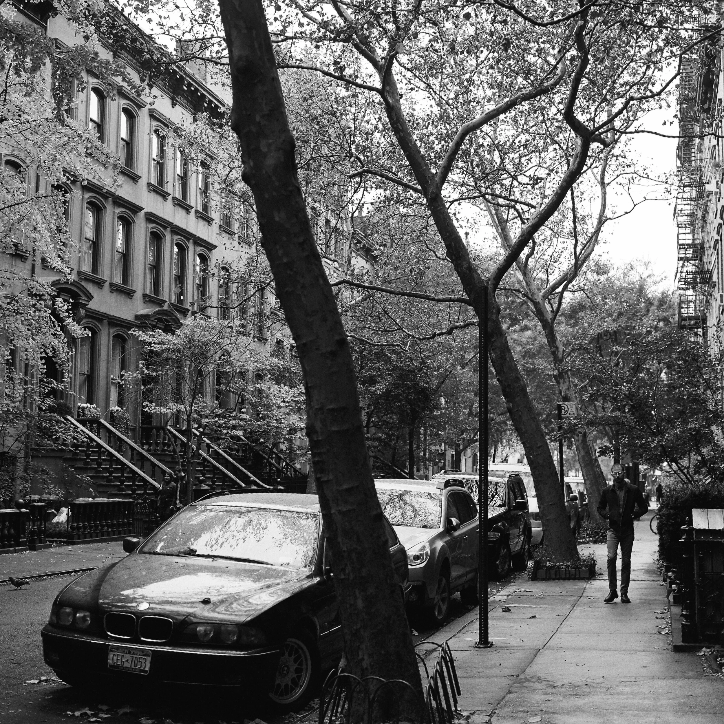 maxpNYC000001-R7-E081.jpg
