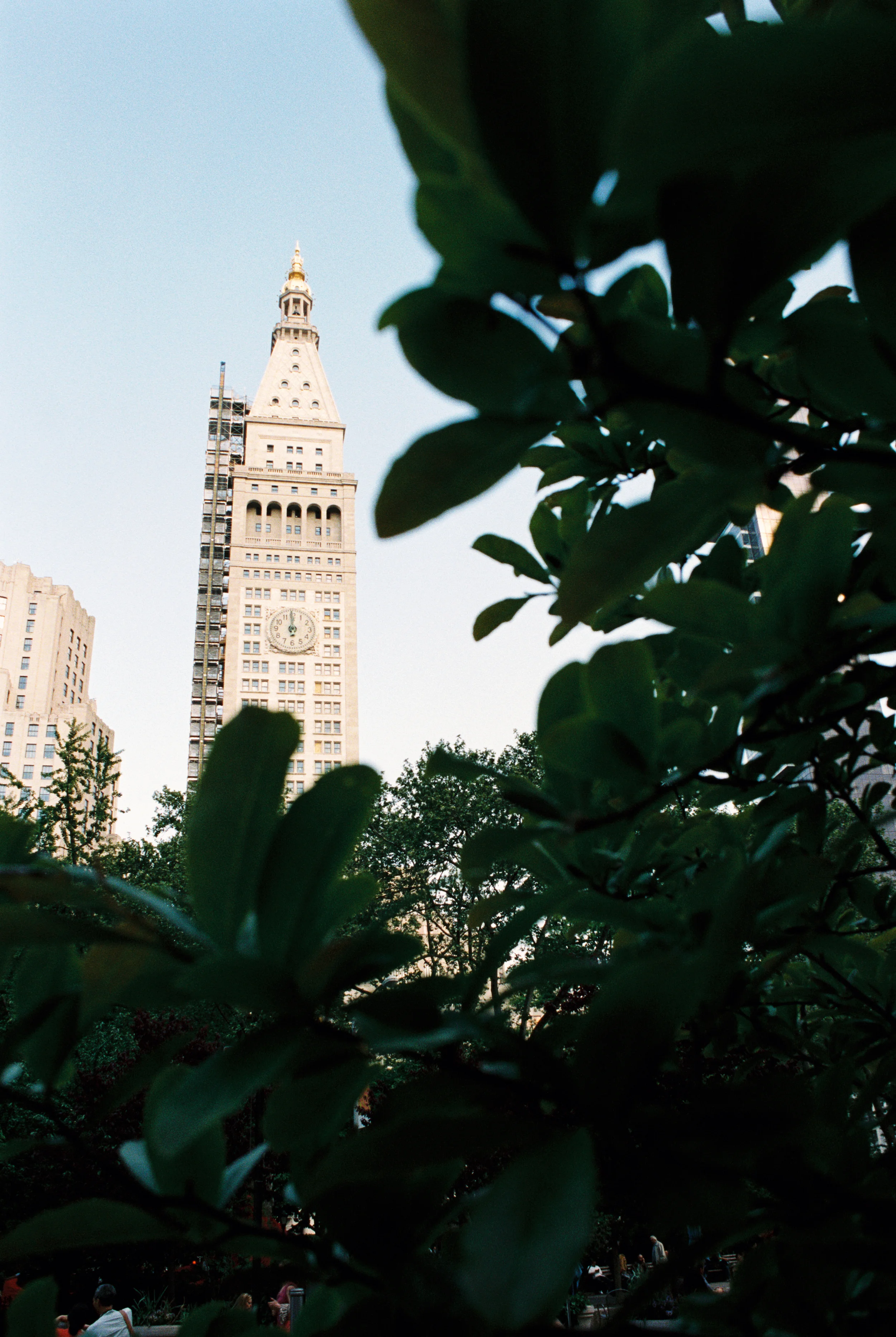 NYC--5.jpg