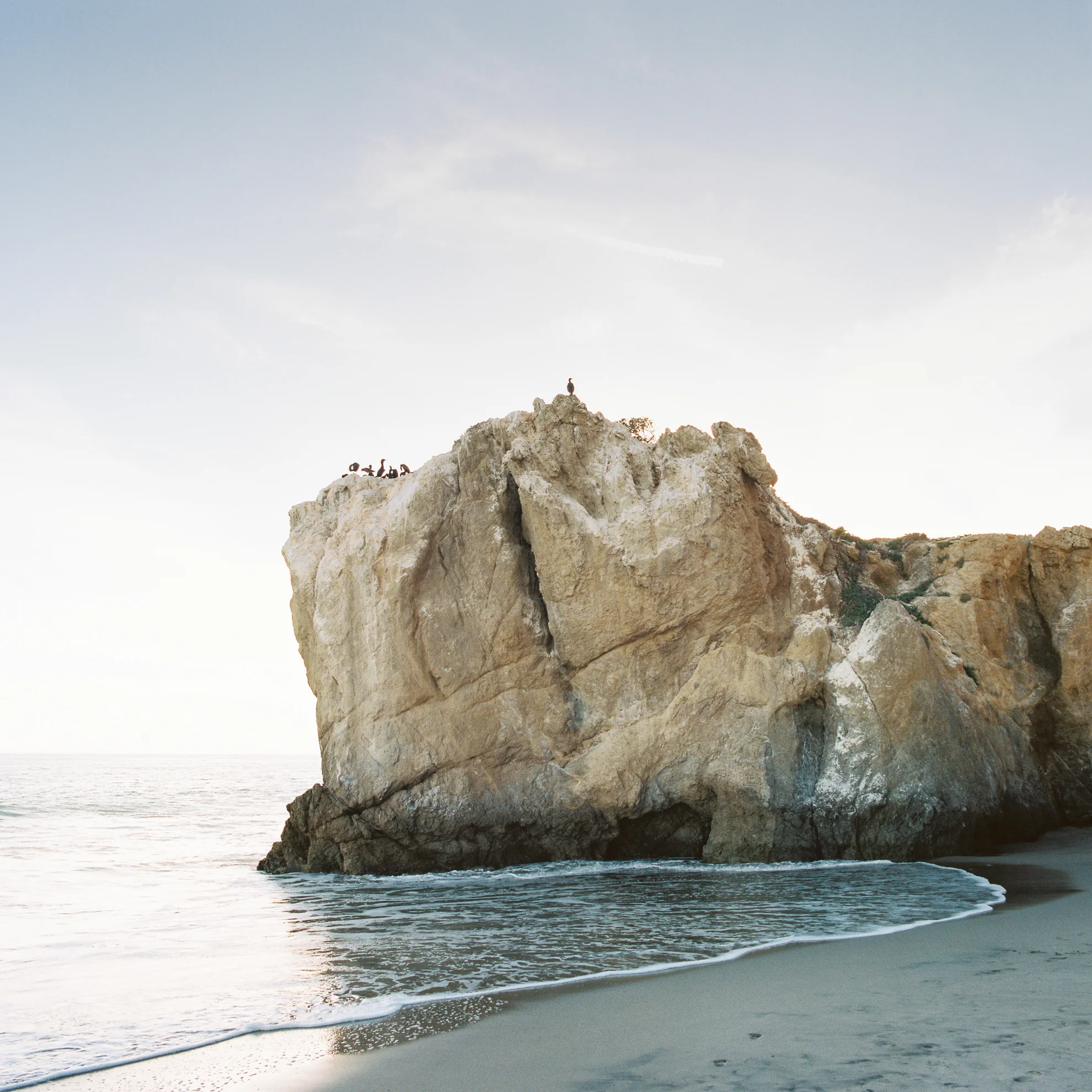 Highest Point / California