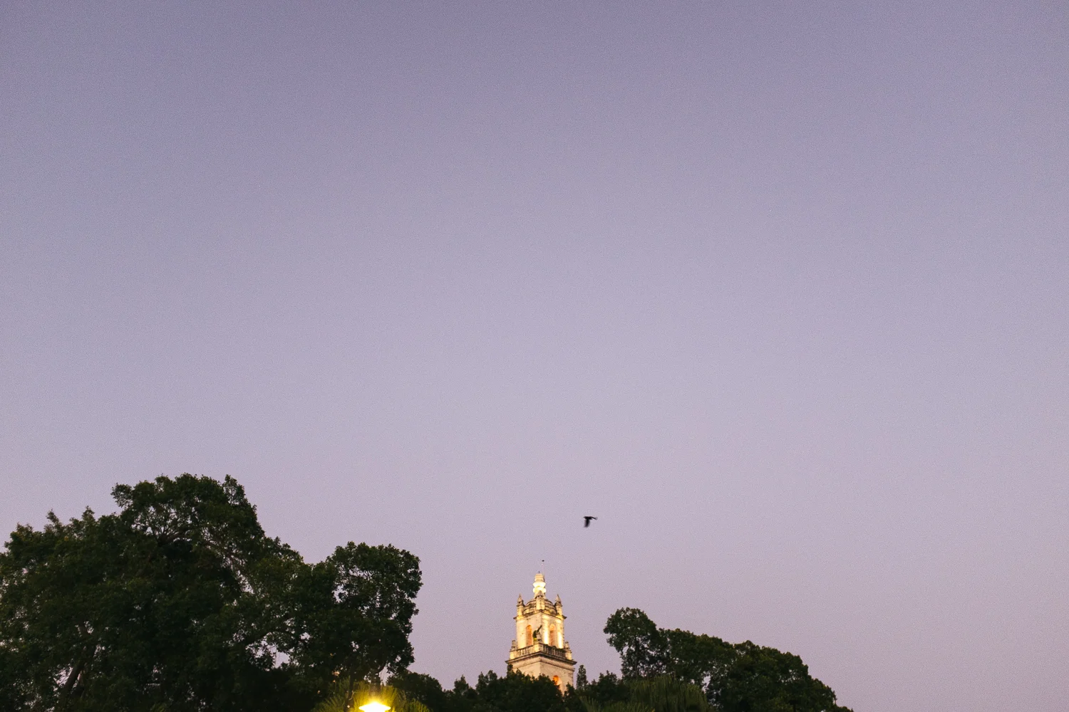 DSCF0079.jpg