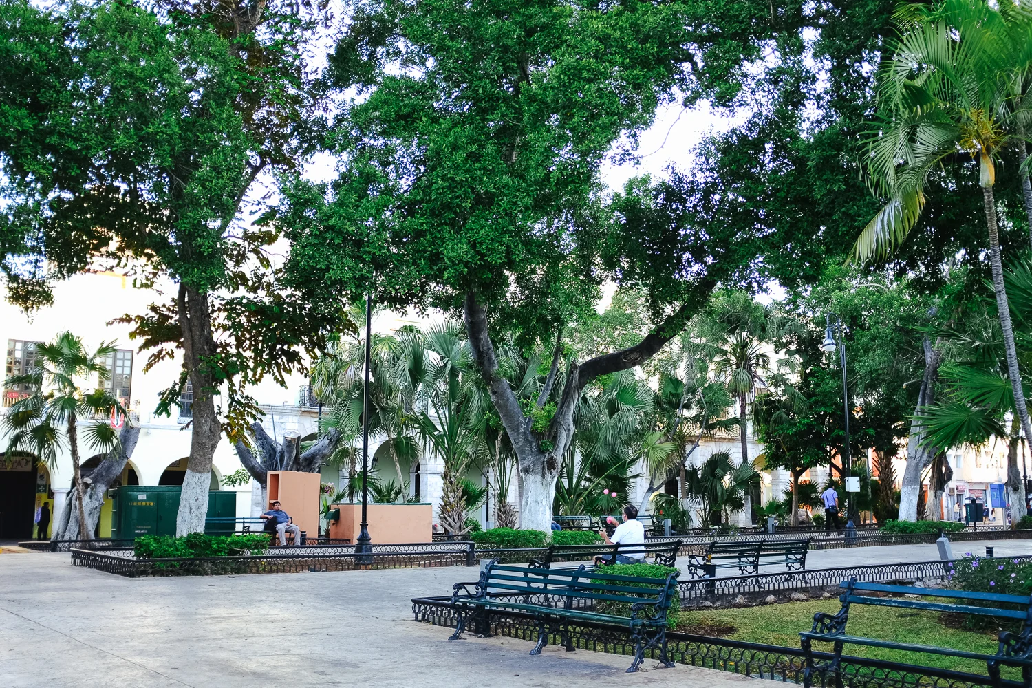 DSCF0166.jpg