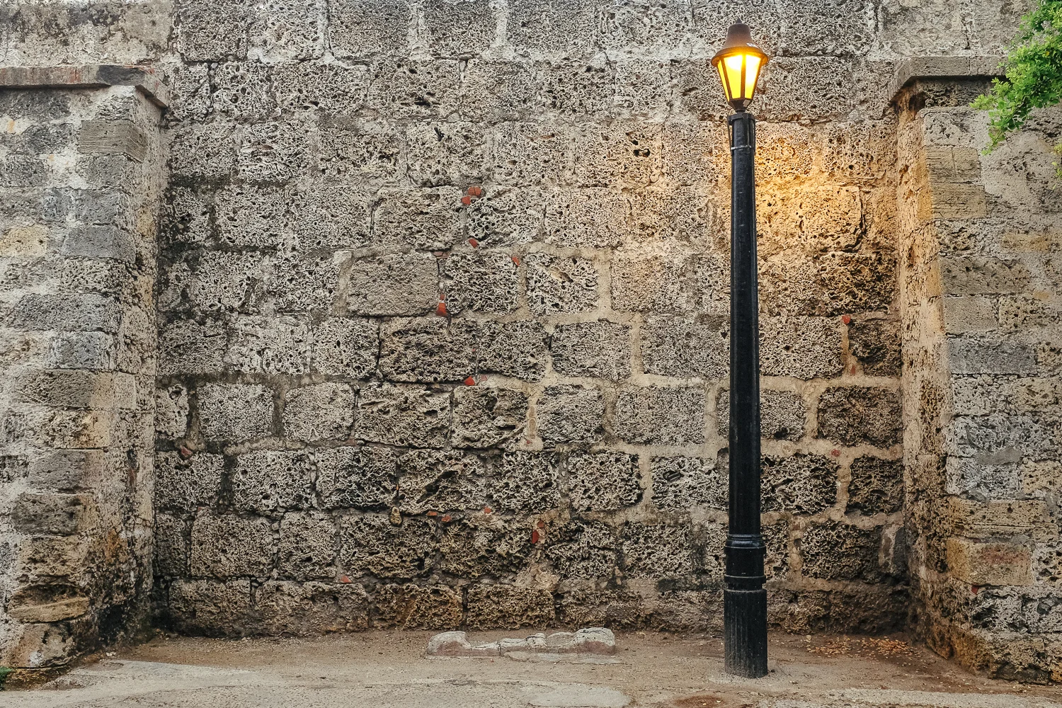 DSCF1703.jpg