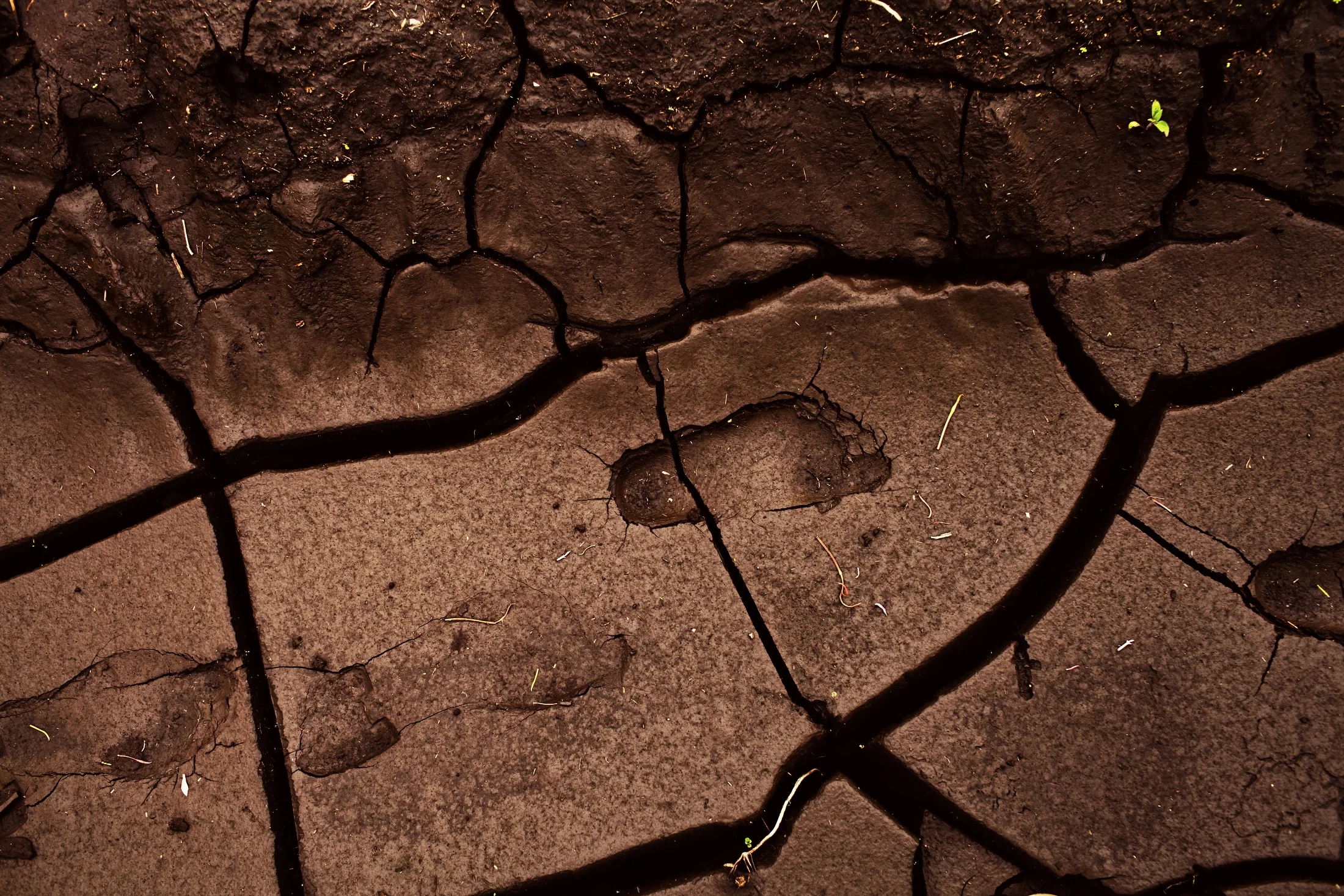 Rwanda 2012_0061.JPG